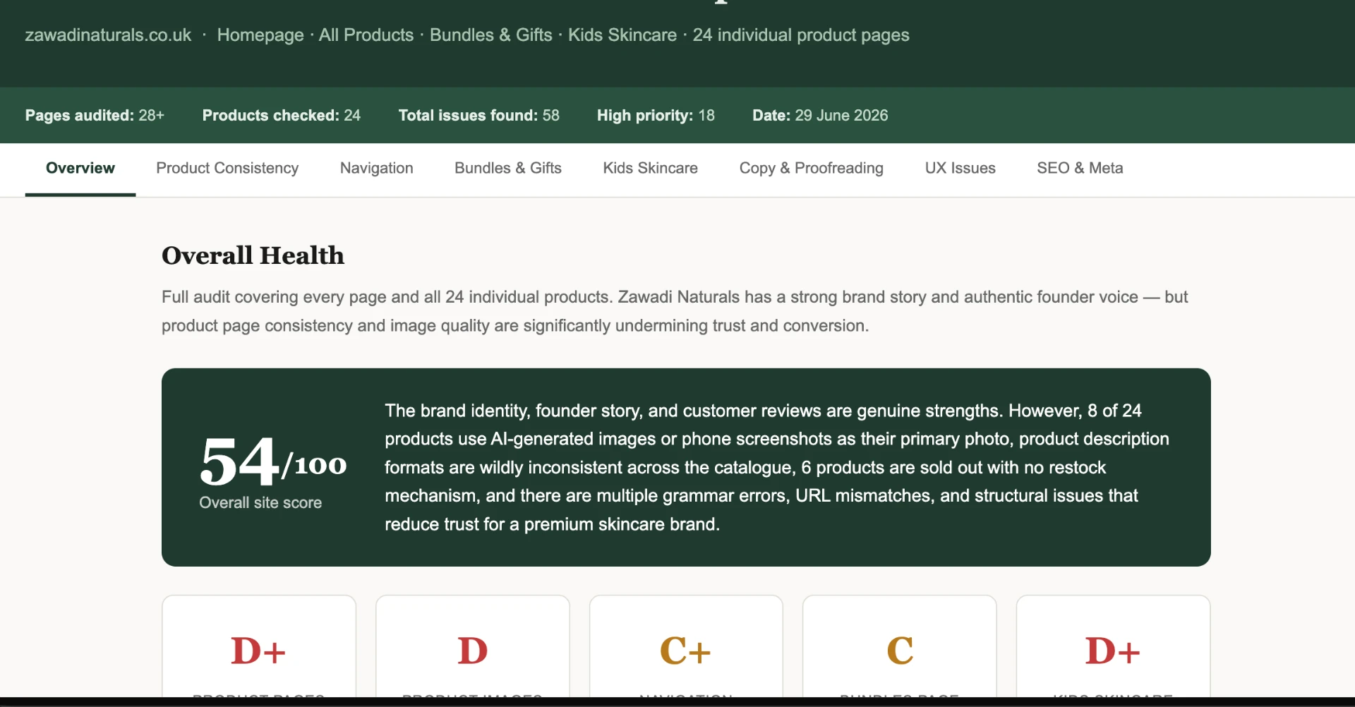 Website audit